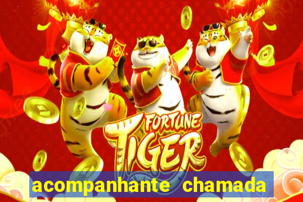 acompanhante chamada de video