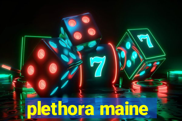 plethora maine