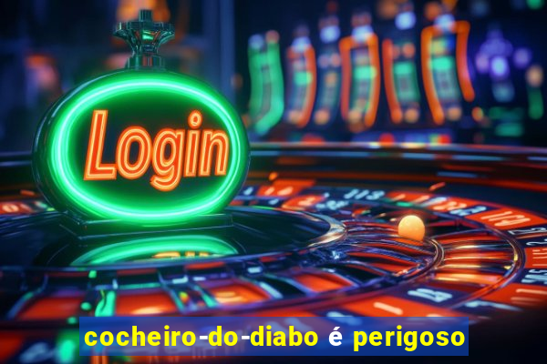 cocheiro-do-diabo é perigoso