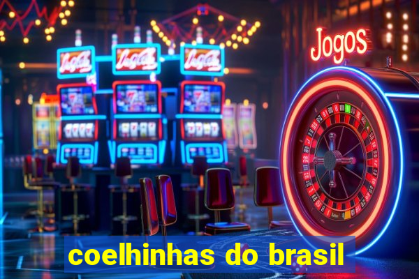 coelhinhas do brasil