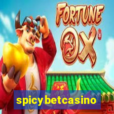 spicybetcasino